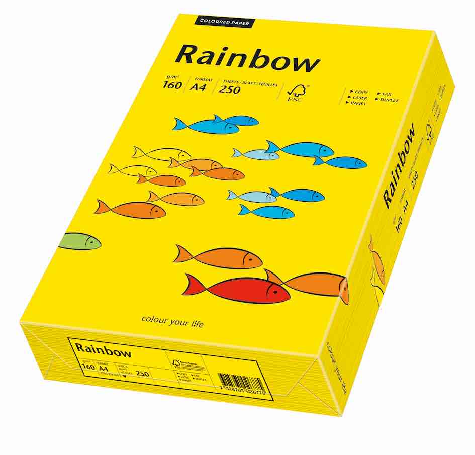 ryza papieru kolorowego A4 papier kolorowy 160g Rainbow 